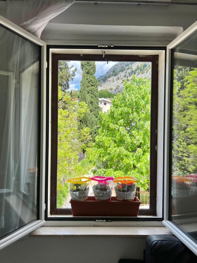Apartment Kiki Kotor Exterior photo